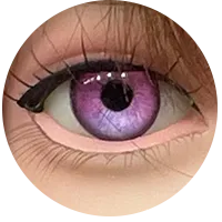 20.webp